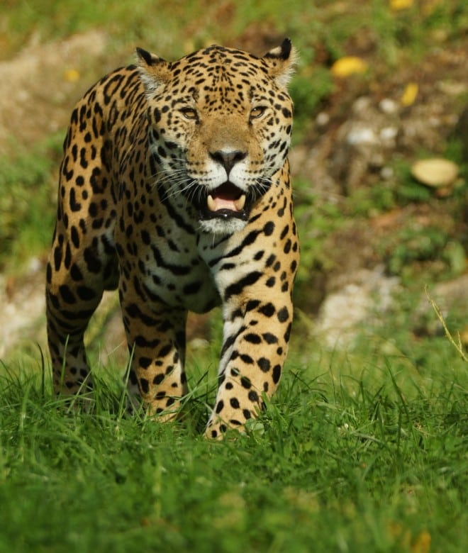 Zoo Salzburg